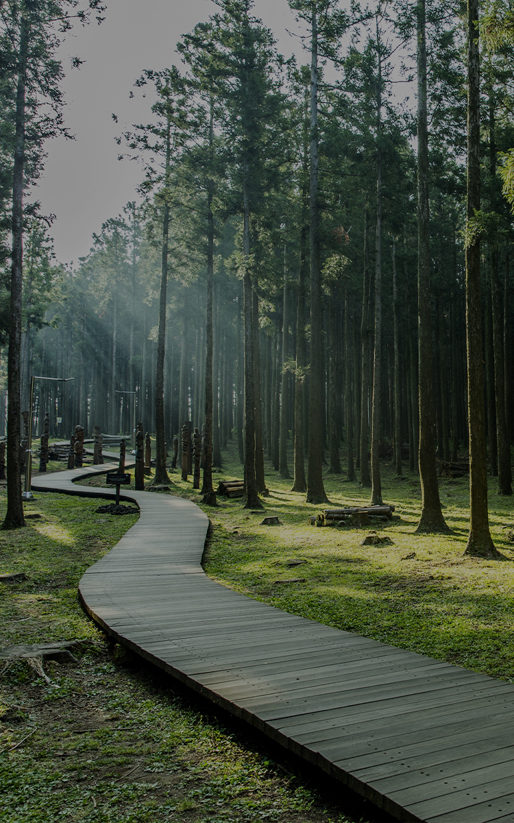 background-img
